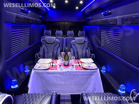 2024 Transformer 12 Passenger Auto Elite Mercedes-Benz Sprinter