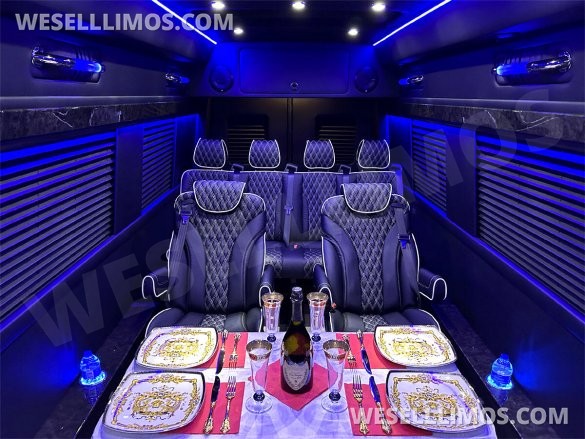 2024 Transformer 12 Passenger Auto Elite Mercedes-Benz Sprinter