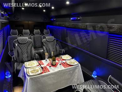 2024 Transformer 12 Passenger Auto Elite Mercedes-Benz Sprinter