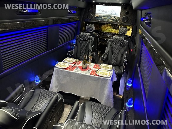 2024 Transformer 12 Passenger Auto Elite Mercedes-Benz Sprinter