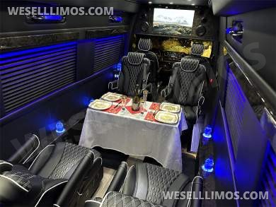 2024 Transformer 12 Passenger Auto Elite Mercedes-Benz Sprinter