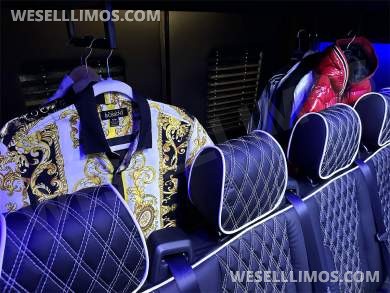 2024 Transformer 12 Passenger Auto Elite Mercedes-Benz Sprinter