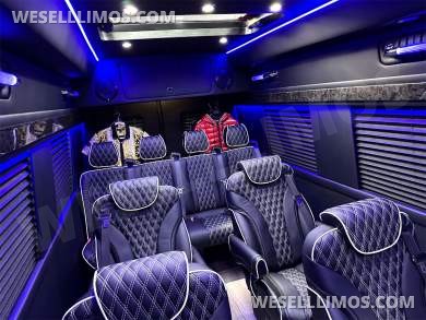 2024 Transformer 12 Passenger Auto Elite Mercedes-Benz Sprinter