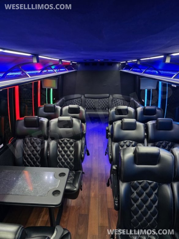 2015 Ford Limo bus Limo Bus for Sale in Erie, PA - Main Photo