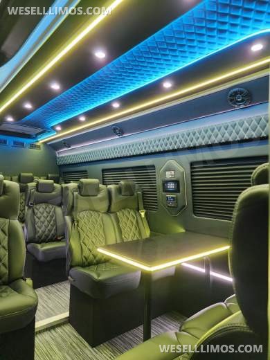 2025 Global Motor Coach Mercedes Sprinter Executive Shuttle Sprinter