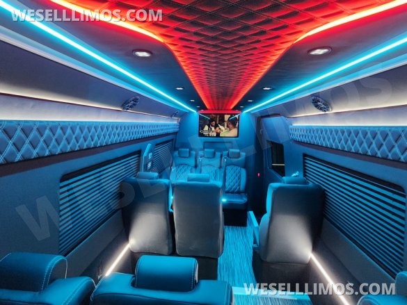 2025 Global Motor Coach Mercedes Sprinter Executive Shuttle Sprinter