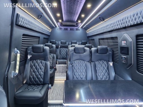 2025 Global Motor Coach Mercedes Sprinter Executive Shuttle Sprinter