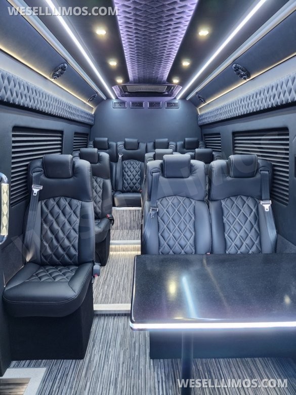 2025 Global Motor Coach Mercedes Sprinter Executive Shuttle Sprinter