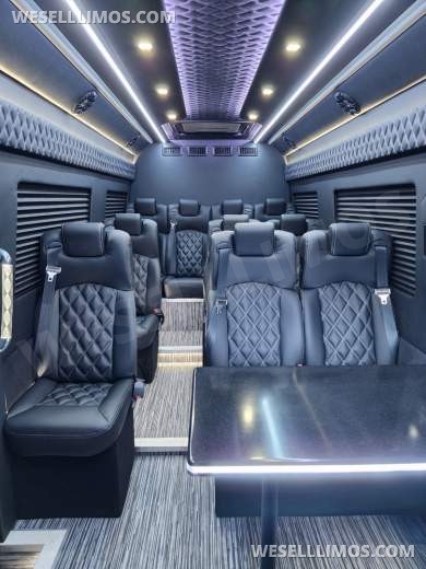 2025 Global Motor Coach Mercedes Sprinter Executive Shuttle Sprinter