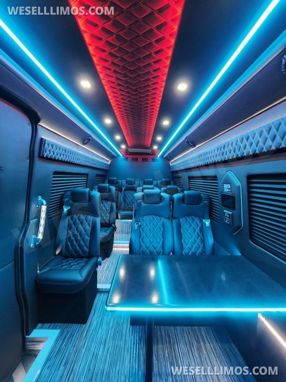 2025 Global Motor Coach Mercedes Sprinter Executive Shuttle Sprinter