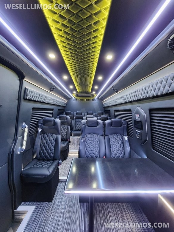 2025 Global Motor Coach Mercedes Sprinter Executive Shuttle Sprinter