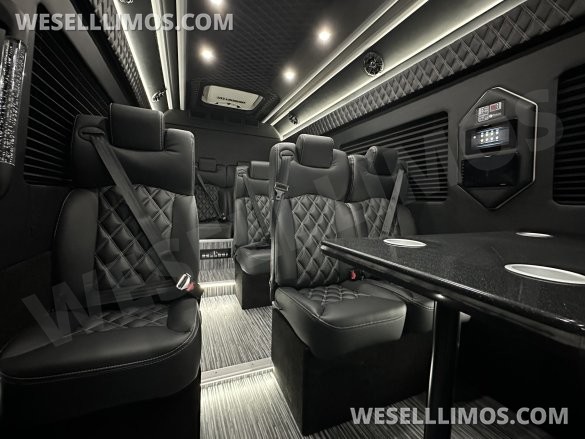2025 Global Motor Coach Mercedes Sprinter Executive Shuttle Sprinter