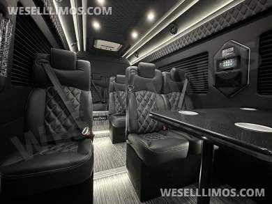 2025 Global Motor Coach Mercedes Sprinter Executive Shuttle Sprinter