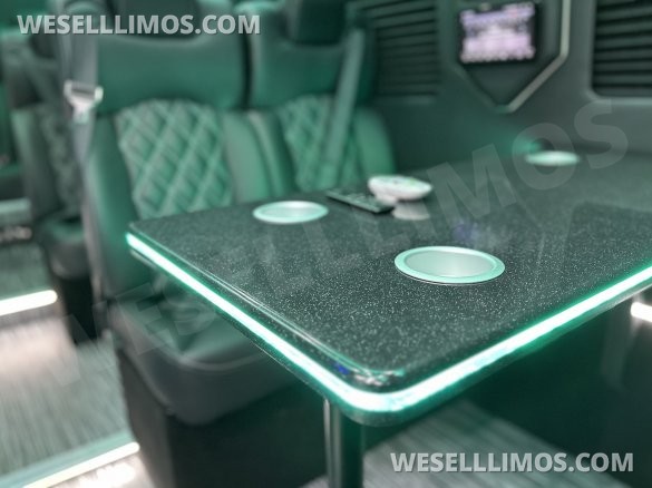 2025 Global Motor Coach Mercedes Sprinter Executive Shuttle Sprinter