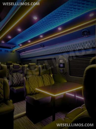2025 Global Motor Coach Mercedes Sprinter Executive Shuttle Sprinter