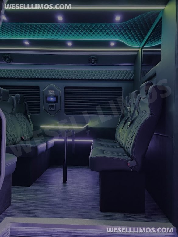 2025 Global Motor Coach Mercedes Sprinter Executive Shuttle Sprinter