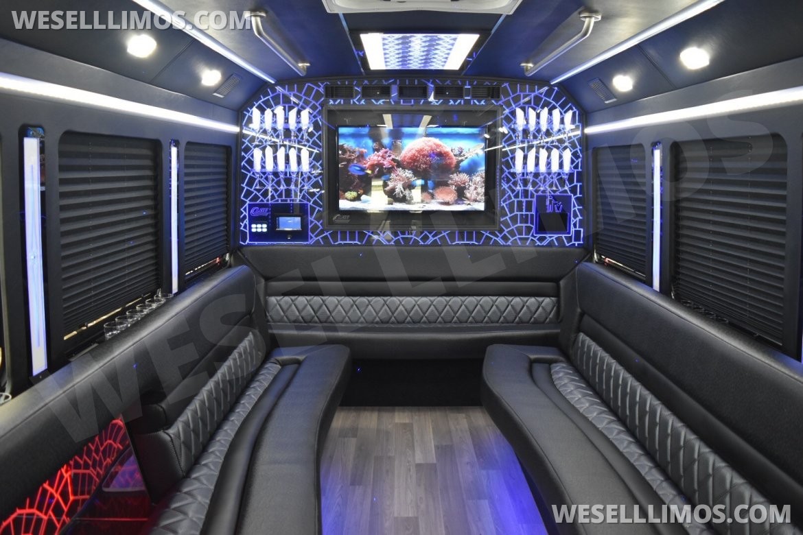 Photo of Limo Bus for sale: 2017 Ford E450 by LGE