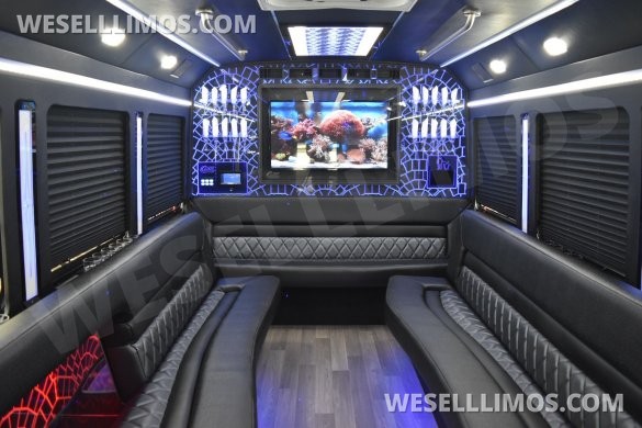 2017 LGE Ford E450 Limo Bus w/brand new tires and breaks