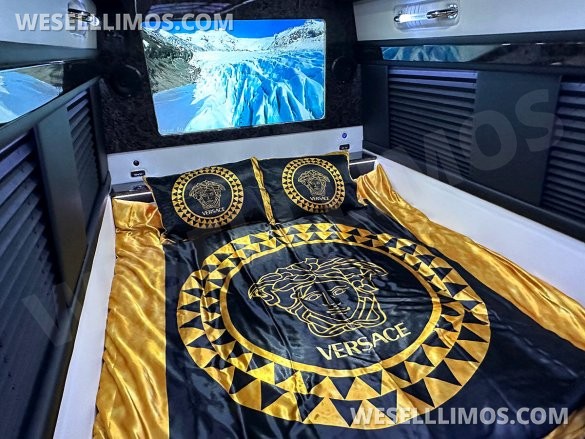 2024 Touring Coach Elegance Trim Limited Edition Auto Elite MB Sprinter 14 Passenger