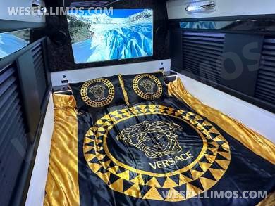 2024 Touring Coach Elegance Trim Limited Edition Auto Elite MB Sprinter 14 Passenger
