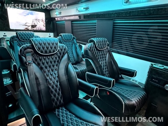 2024 Touring Coach Elegance Trim Limited Edition Auto Elite MB Sprinter 14 Passenger
