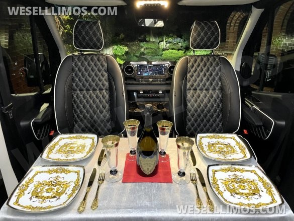 2025 Eco Revolution Heat/Massage Seats PetFriendly SolarPowered Auto Elite Luxury MB Sprinter