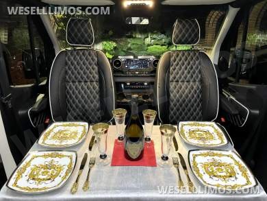 2025 Eco Revolution Heat/Massage Seats PetFriendly SolarPowered Auto Elite Luxury MB Sprinter