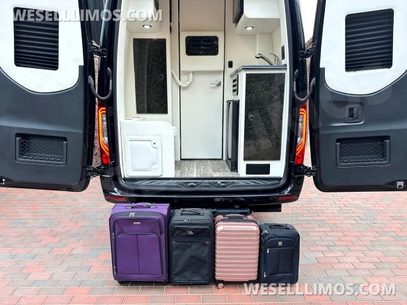 2025 Eco Revolution Heat/Massage Seats PetFriendly SolarPowered Auto Elite Luxury MB Sprinter