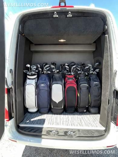 Family Cruiser Mercedes-Benz Sprinter  Van