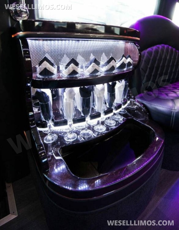 2015 GRECH CUSTOMS Mercedes-Benz 2015 Mercedes-Benz Sprinter 3500 4x2 3500 3dr 170  Limo Bus