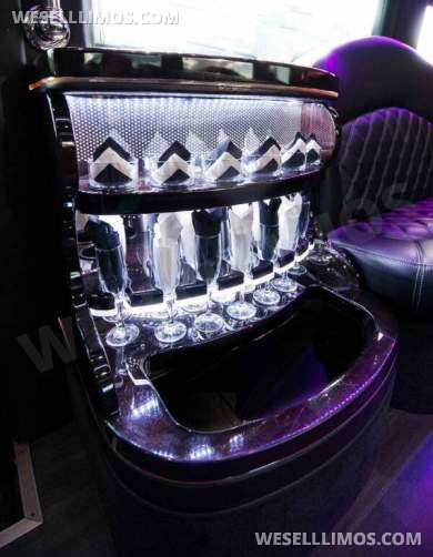 2015 GRECH CUSTOMS Mercedes-Benz 2015 Mercedes-Benz Sprinter 3500 4x2 3500 3dr 170  Limo Bus