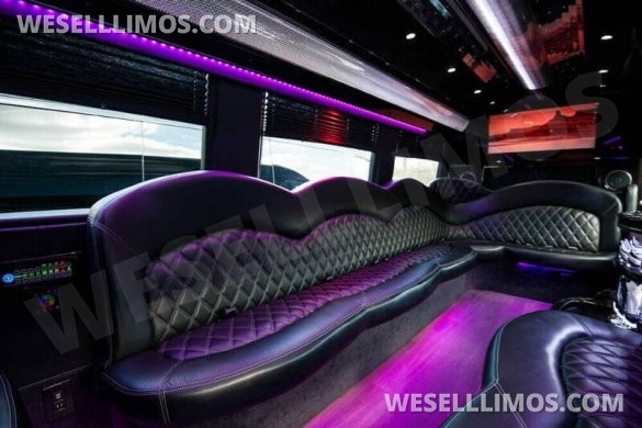 2015 GRECH CUSTOMS Mercedes-Benz 2015 Mercedes-Benz Sprinter 3500 4x2 3500 3dr 170  Limo Bus