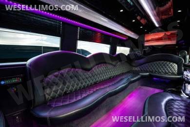 2015 GRECH CUSTOMS Mercedes-Benz 2015 Mercedes-Benz Sprinter 3500 4x2 3500 3dr 170  Limo Bus