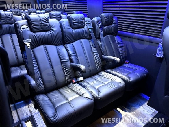2023 Auto Elite 15 Passenger Coach Road Liner 747 Executive Shuttle Mercedes-Benz Sprinter