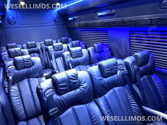 2023 Auto Elite 15 Passenger Coach Road Liner 747 Executive Shuttle Mercedes-Benz Sprinter
