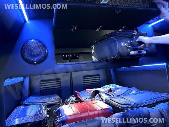 2023 Auto Elite 15 Passenger Coach Road Liner 747 Executive Shuttle Mercedes-Benz Sprinter