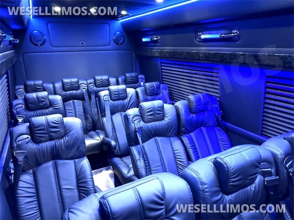 2023 Auto Elite 15 Passenger Coach Road Liner 747 Executive Shuttle Mercedes-Benz Sprinter