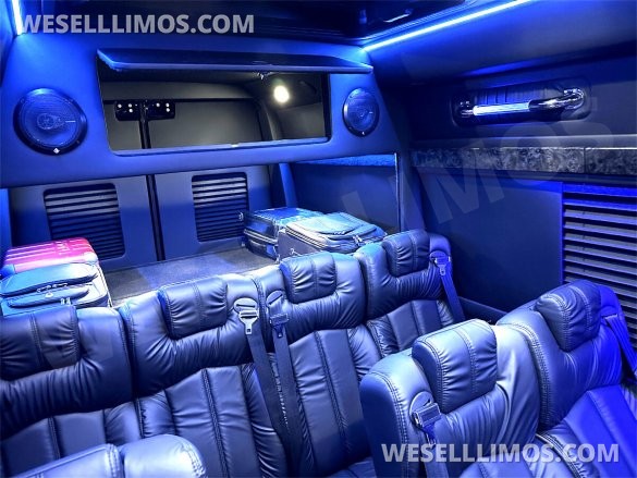 2023 Auto Elite 15 Passenger Coach Road Liner 747 Executive Shuttle Mercedes-Benz Sprinter