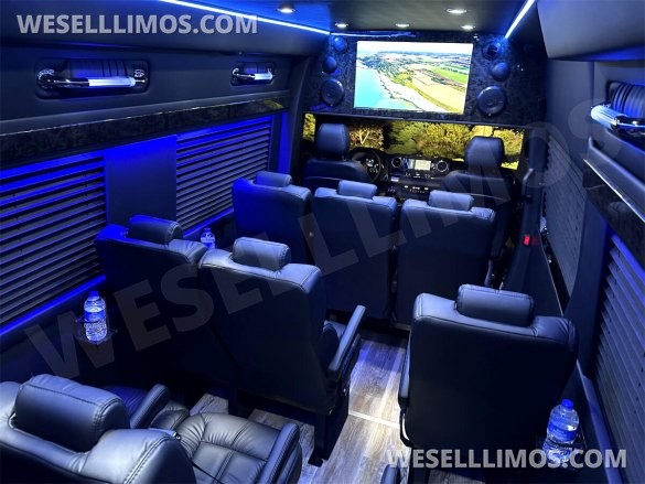 2023 Auto Elite 15 Passenger Coach Road Liner 747 Executive Shuttle Mercedes-Benz Sprinter