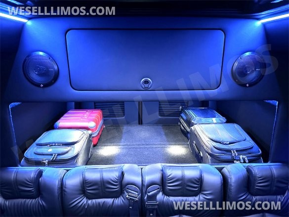 2023 Auto Elite 15 Passenger Coach Road Liner 747 Executive Shuttle Mercedes-Benz Sprinter