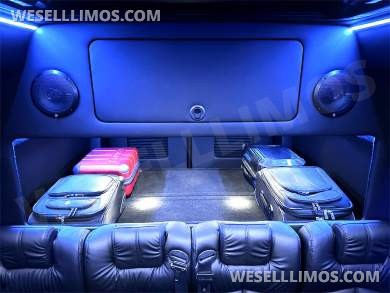 2023 Auto Elite 15 Passenger Coach Road Liner 747 Executive Shuttle Mercedes-Benz Sprinter