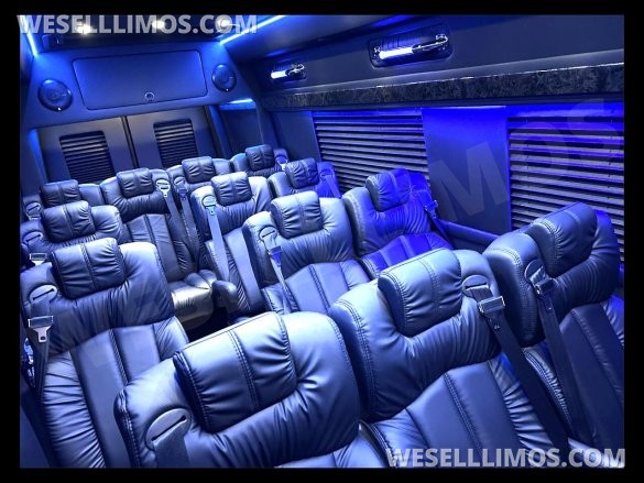 2023 Auto Elite 15 Passenger Coach Road Liner 747 Executive Shuttle Mercedes-Benz Sprinter