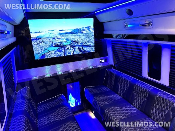 2022 4x4 V6 Road Liner Limousine 15 Passenger Auto Elite Mercedes-Benz Sprinter