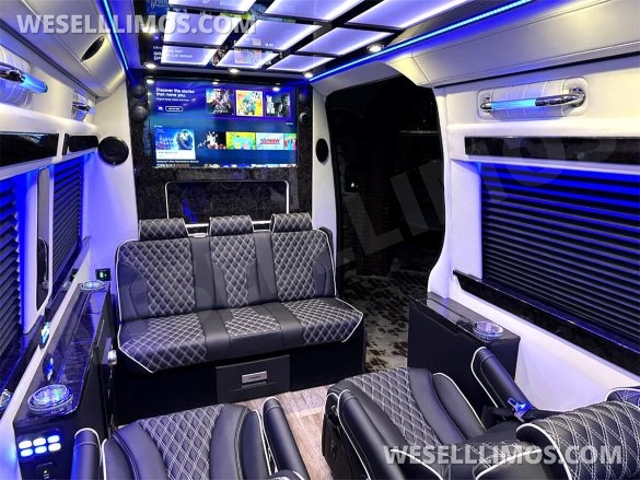 2022 4x4 V6 Road Liner Limousine 15 Passenger Auto Elite Mercedes-Benz Sprinter