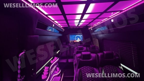 2020 Moonlight Mercedes-Benz Sprinter 2500 170
