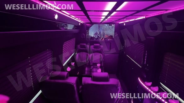 2020 Moonlight Mercedes-Benz Sprinter 2500 170