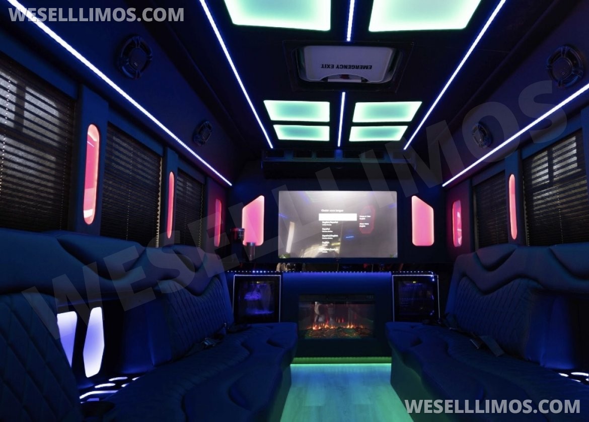 Photo of Limousine for sale: 2017 Ford F450 diesel