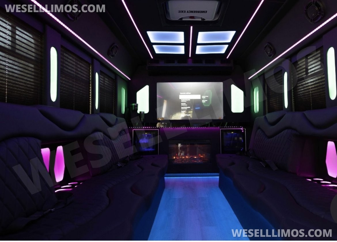 Photo of Limousine for sale: 2017 Ford F450 diesel