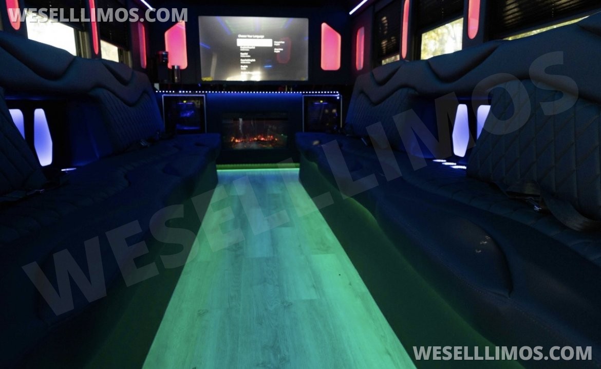 Photo of Limousine for sale: 2017 Ford F450 diesel