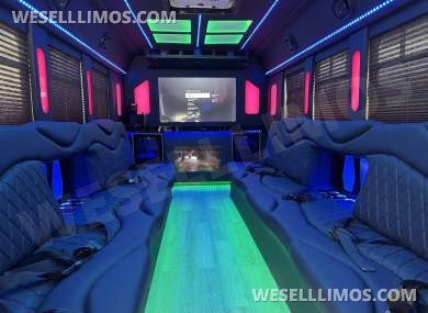 2017 F450 diesel very exotic